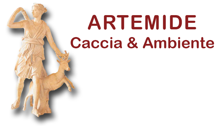 Artemide Caccia e Ambiente